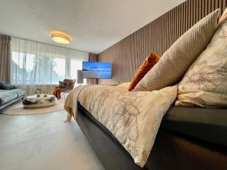 Schickes 1-Zimmer Apartment, nur 2 Min. zum Rhein - Küssaberg - 5