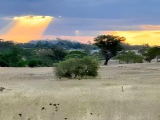 Toowoomba Valley Views by Tiny Away - Gowrie Little Plain - 0