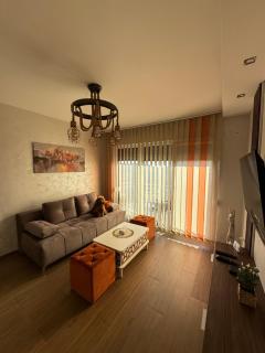 Apartmani Mandić Divčibare - Divčibare - 8