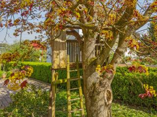 Obst- Ferienhof Ragg - Immenstaad am Bodensee - 7