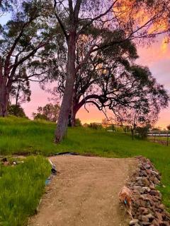 Snowy Valleys iconic stay - Moonshiner Cottage @ Distillery - Tumbarumba - 1