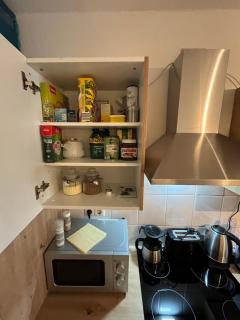 Apartment 2 ideal für Familien und Geschäftsreisende ABG69 - Gera - 3