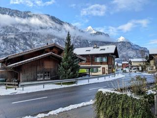 Alpine chalet apt w/parking and porch - Meiringen - 7