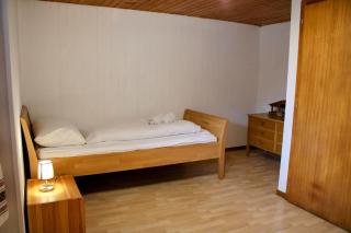 Alpine chalet apt w/parking and porch - Meiringen - 1