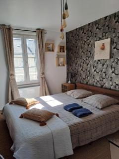 Atypique Saumur 80 m2 joli appartement 2 à 7 pers familial rénové entier 3 chambres hyper centre - Saumur - 0