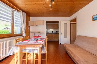 Gîte La Marmotte - Thônes - 9