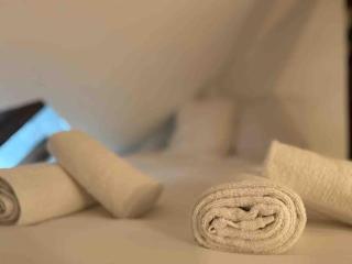 Studio Guépin : hyper centre au pied du tram - 5