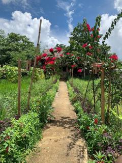 PuBin Spice Hills - Hòa Bình - 0