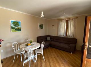 Villa Oliva - Gruda - 6