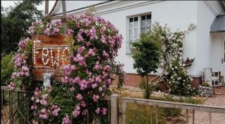 Gästehaus LaVita - Bansin - 8