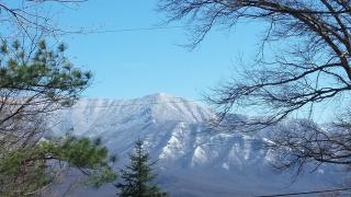 Honey Bear - Unique Boutique Chalet in Gatlinburg with Mt Leconte view - 3