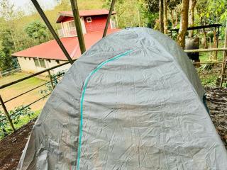 Shrenya Orchidz-Coorg Nature Stay - Madikeri - 4