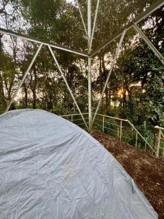 Shrenya Orchidz-Coorg Nature Stay - Madikeri - 3