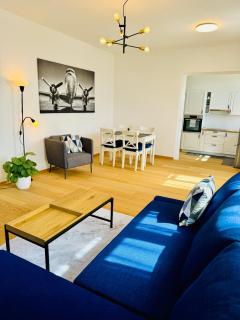 Stará Škola Mariánská - 5