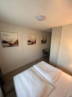 Altstadt Hotel Schwanen - Waldshut-Tiengen - 5