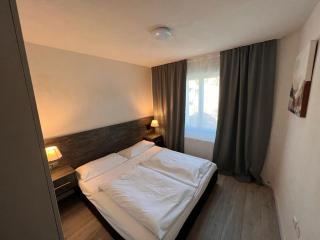 Altstadt Hotel Schwanen - Waldshut-Tiengen - 3
