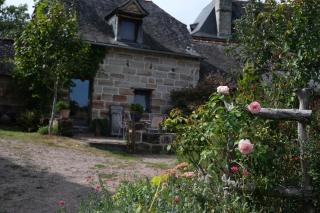 Les hirondelles - 5