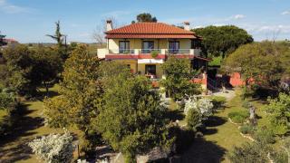 Pond and Pines, by nice house by the sea! - Epanomi - 0