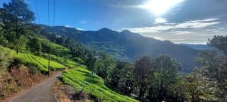 Rainbow homestay Munnar - Anachal - 0