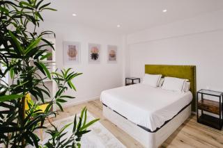 Carmen flat - Valencia - 2