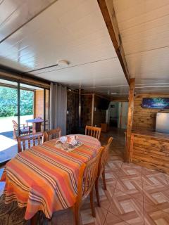 Las palmeras de Colbún - 6