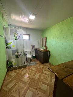 Las palmeras de Colbún - 2