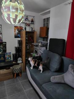 Appartement duplex indépendant de 46m2 - Nanterre - 4