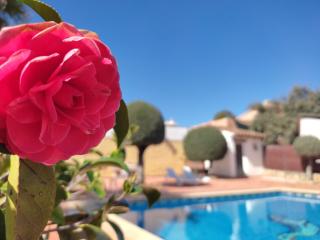 Casa Maleda - Hornachuelos - 6