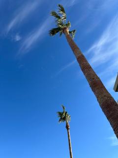 Eleni's Luxury Stay - Kos - 2