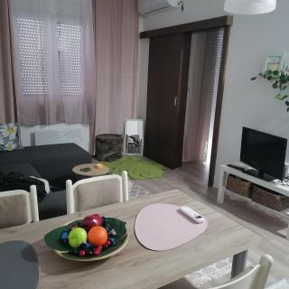 Tara-lux - Trnava - 4