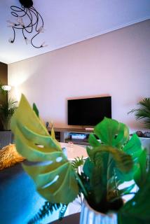 Like Home - Kalamata - 9