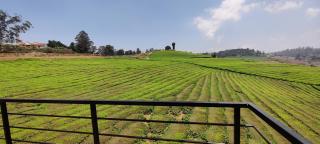 Rose Garden Enclave for Families & Executives - 6