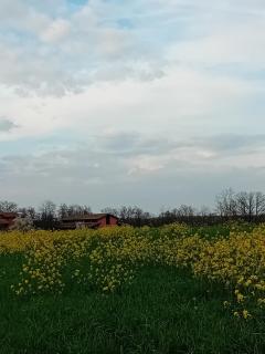 B&BLe Tre Gemme - Montechiarugolo - 2