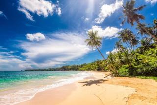 Casa Ka Lani - Cabarete Luxury Rentals - Cabarete - 5