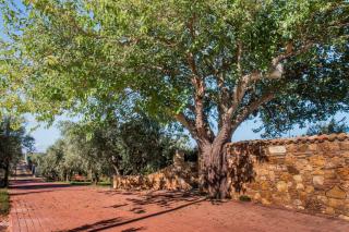 Villa con piscina Casale di Giò nel Golfo di Castellammare - Partinico - 2