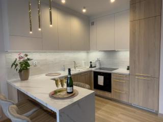 URBAN APARTMENTS LUXURY Opolska 10 No 29, Free Garage, Self Check-in - Katowice - 8