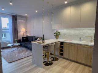 URBAN APARTMENTS LUXURY Opolska 10 No 29, Free Garage, Self Check-in - Katowice - 4