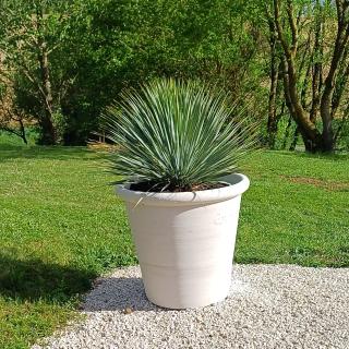 Clos Baroanni - Gîte Terra - 1