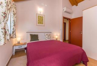 The Grandfather's courtyard villa with heated pool - Stankovci - 6