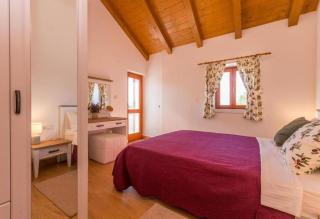 The Grandfather's courtyard villa with heated pool - Stankovci - 5
