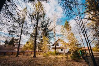 NorthSpot Cabin - 3