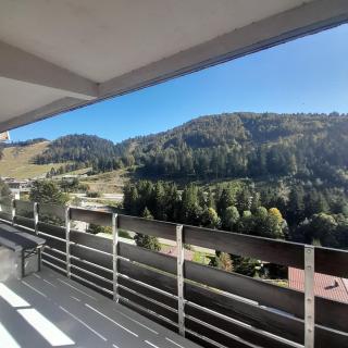 Appartement osca des brimbelles - La Bresse - 8
