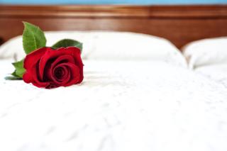 Hotel Eladia - Cangas de Onís - 8