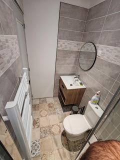 Appartement 40 m2 - Saint-Étienne - 2
