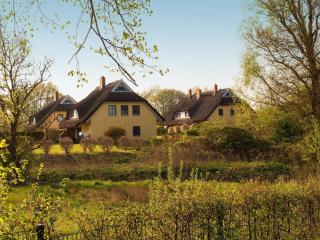 Ferienhaus in idylischer Lage - Poseritz - 5