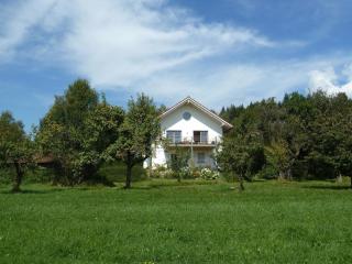 Ferienwohnung in Schlag mit Terrasse - Kirchdorf im Wald - 0