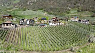 Rasnerhof Ferienwohnung Tschigat - Algund - 3