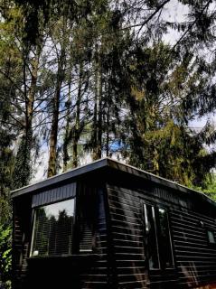 Heerlijk chalet midden in de natuur - Putten - 0
