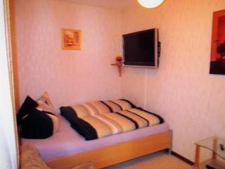 Große Wohnung In Weißenstadt - Mayschoss - 4