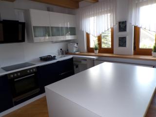 Mondfänger Ferienwohnung , Nähe Playmobil Funpark und Messezentrum - Wilhermsdorf - 1